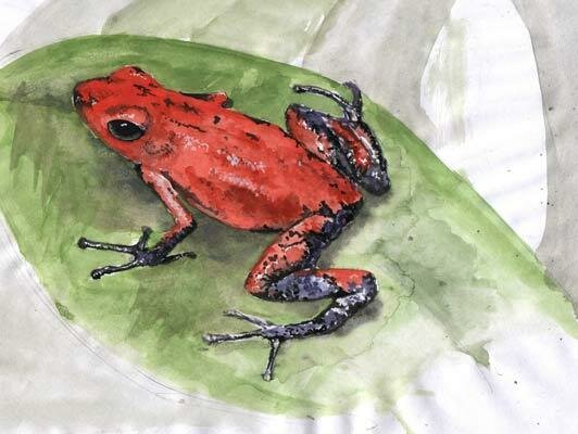 Ilustracje