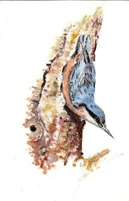 Ilustracje